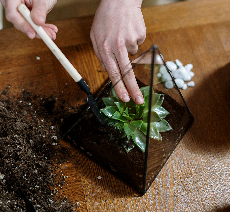 Small terrarium product-26